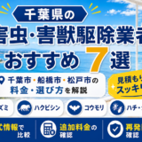 千葉県の害虫・害獣駆除業者おすすめ7選｜千葉市・船橋市・松戸市の料金・選び方