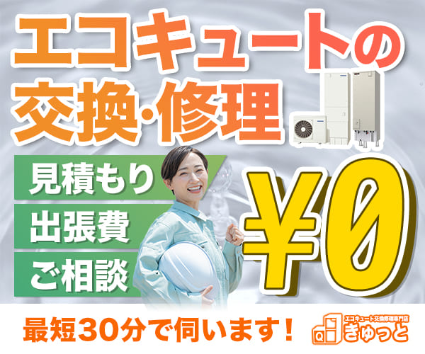 きゅっと 公式サイトイメージ